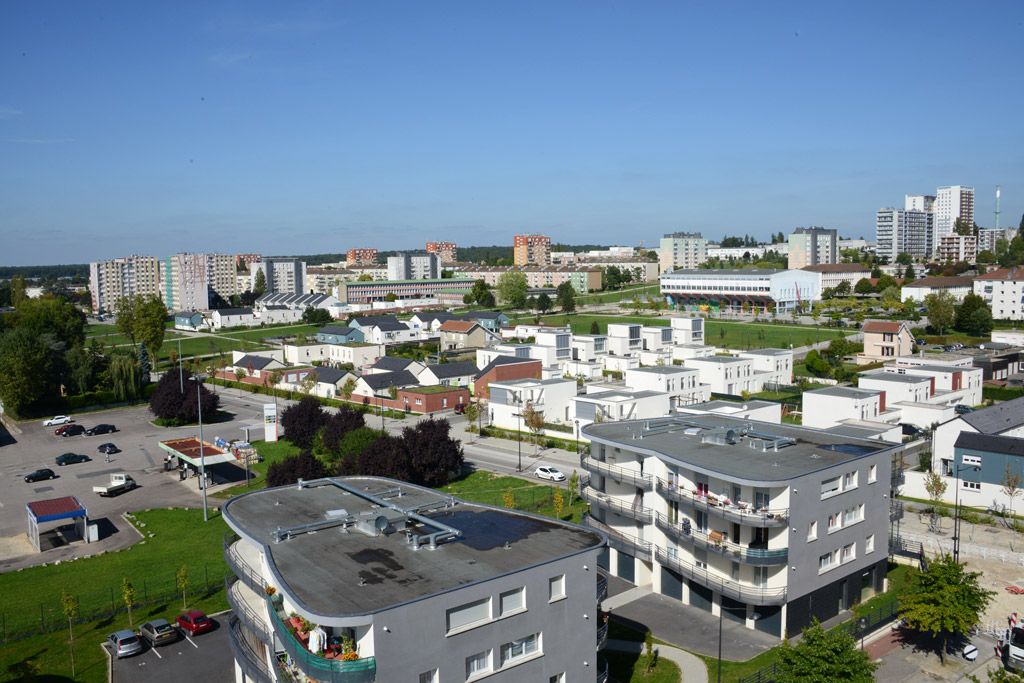 Vert de bois