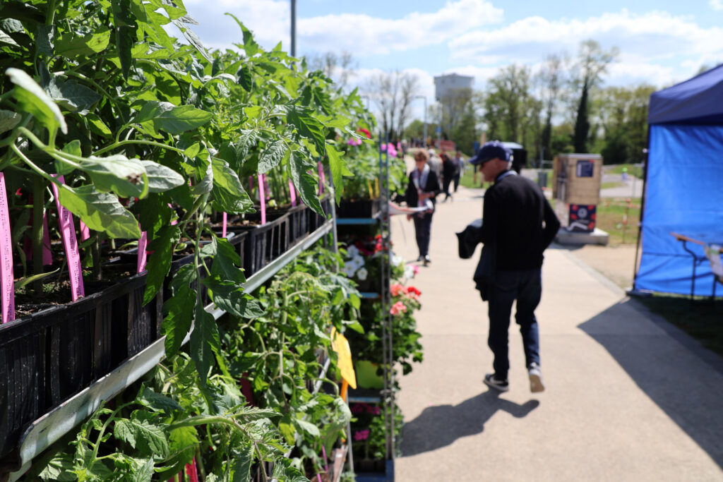 Stand de plantes lors d'un marché en plein air, avec des clients explorant les allées sous un ciel bleu et ensoleillé.