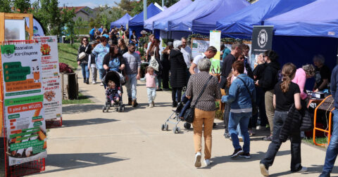 Foule se promenant dans un marché éco-citoyen avec stands d'information et sensibilisation environnementale sous tentes bleues.